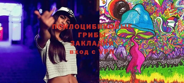 дурь Алексеевка